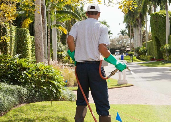 About Perrysville OH Pest Control